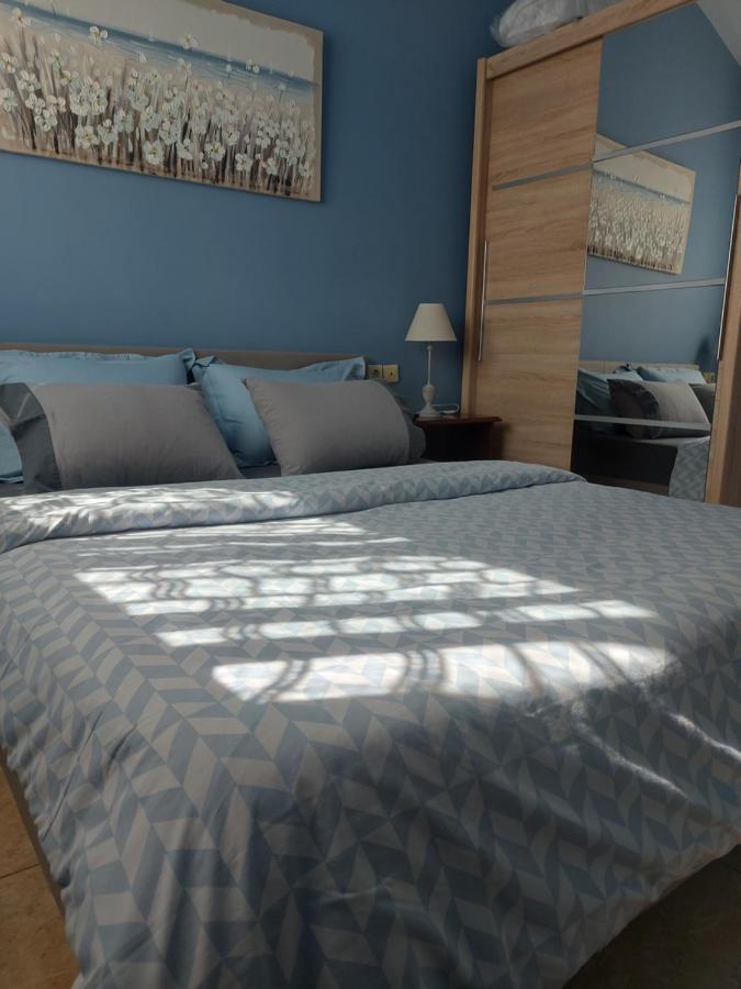 Ulmus Apartment