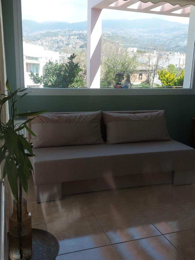 Apartment Ulmus
