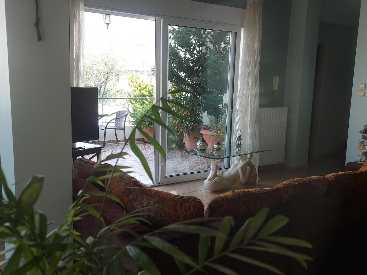 Ulmus Apartment *